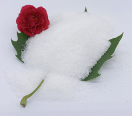 Кој тип на полиакриламид е поефикасен за третирање на отпадните води за перење автомобили?